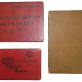A unique lot of documents for a Latvian Bolshewik