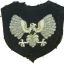 3rd Reich HJ- BDM Gruppenführerin breast eagle 0