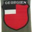 Georgian volunteer in Wehrmacht. Mint BeVo sleeve shield 0