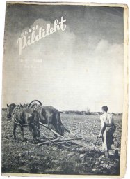 Estonian SS volunteers magazine PildiLeht