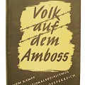 Volk auf dem Amboß, Kampfabschnitt Österreich 1933 – 1935